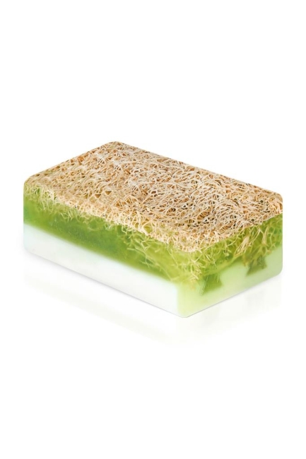 %100 Doğal Kabak Lifli, Gliserinli, El Yapımı Aloe Vera Sabunu 100 gr