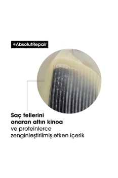 Serie Expert Absolut Repair Yıpranmış Saçlar Için Onarıcı Şampuan 300 ml - Thumbnail